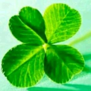 秋🎄风🍀落🍁叶