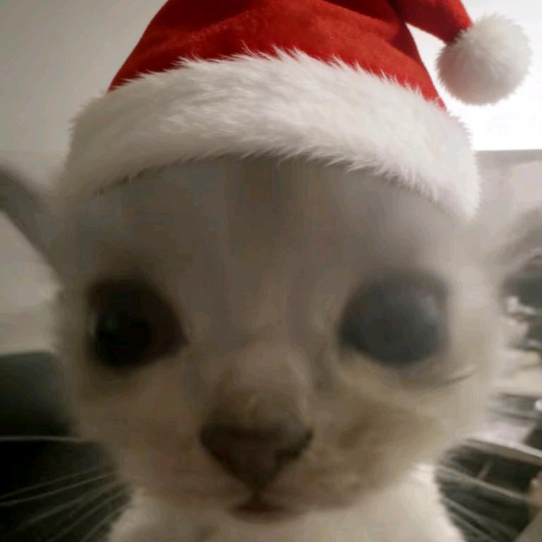 wwwwwwwwjjjjjjjj
