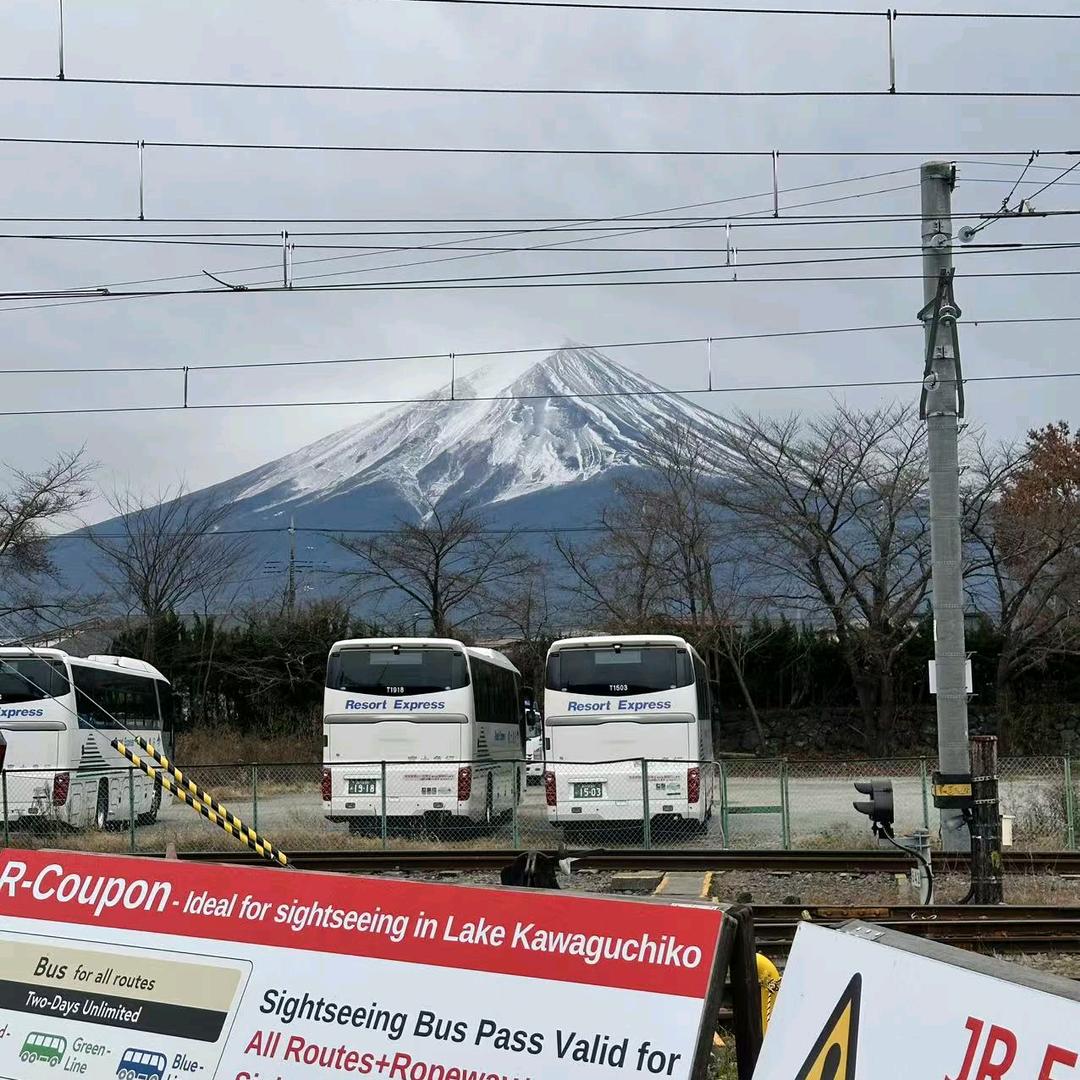 麦子熟了（刷脂版）