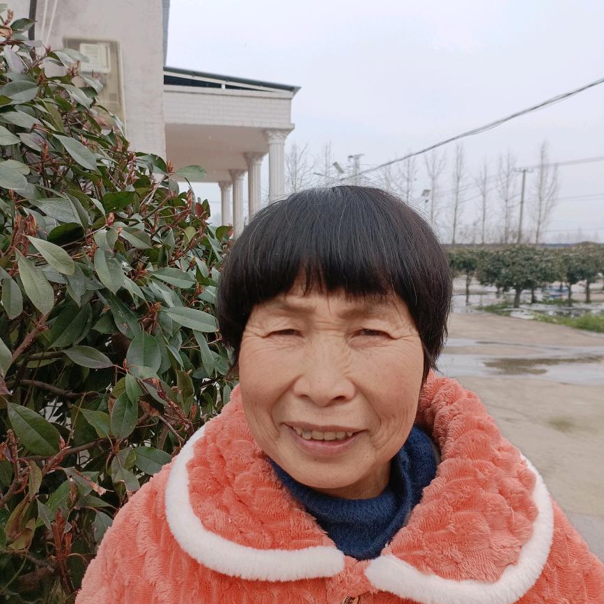 刘妈