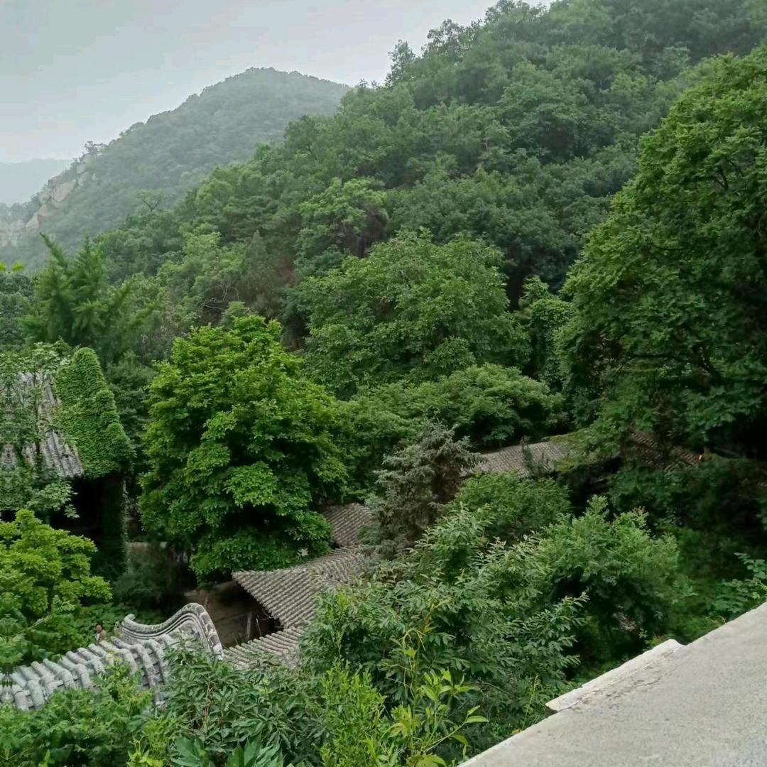 皮囊是伪装的
