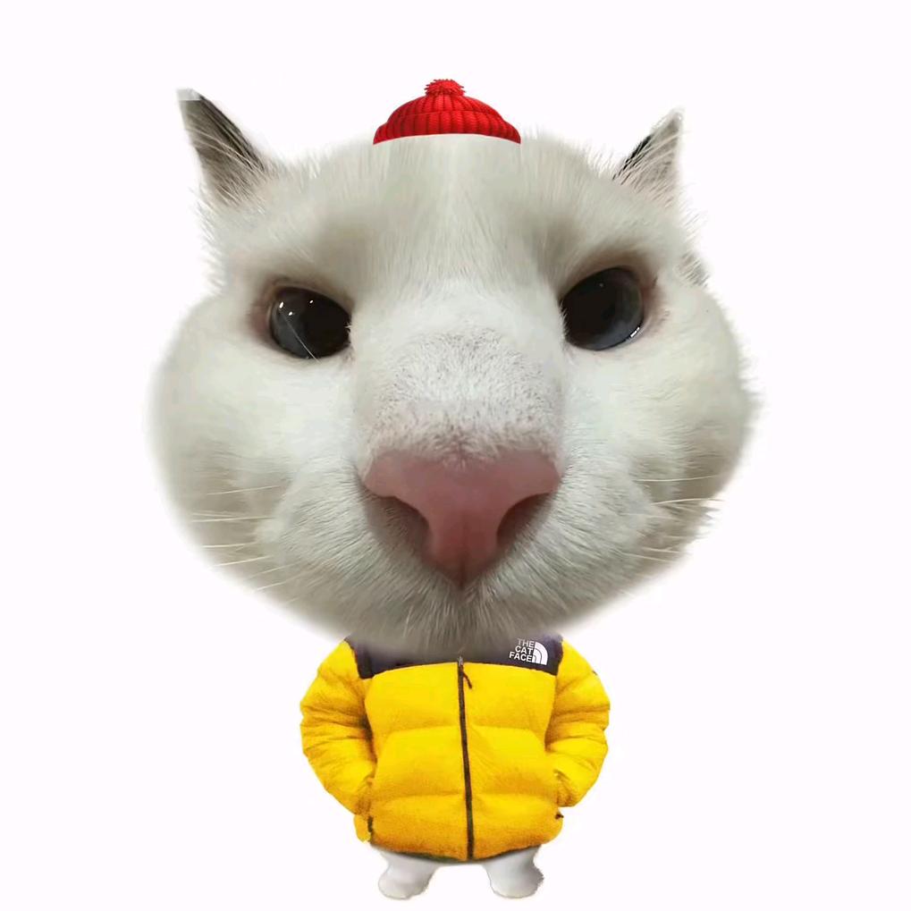 挣钱养小狗