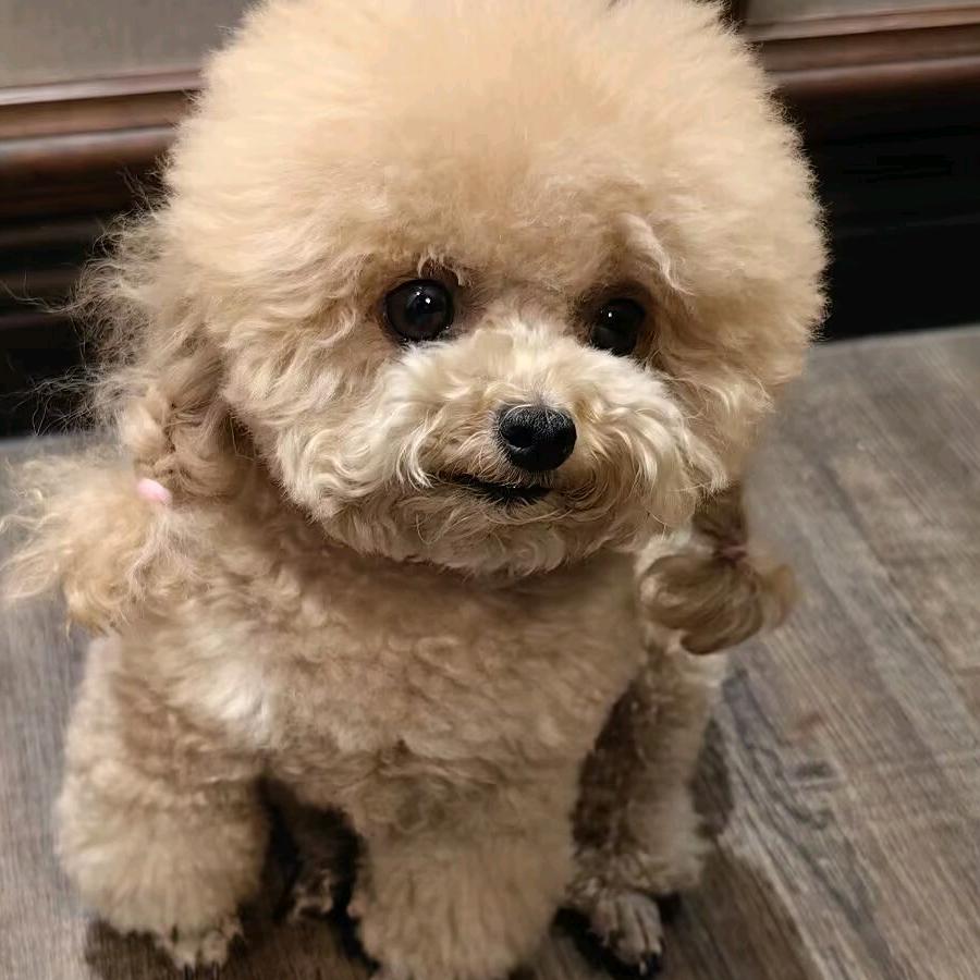 @米儿《正茂杂品厨电批发》