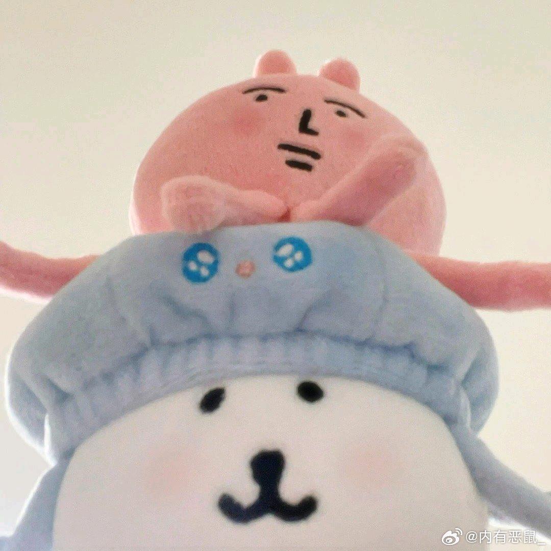 再也不养小狗了？