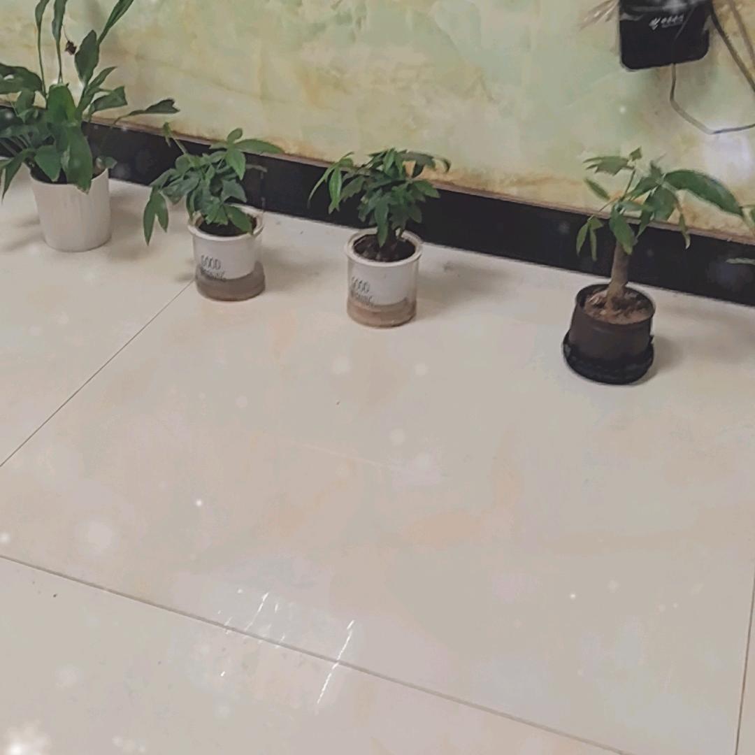为你等候