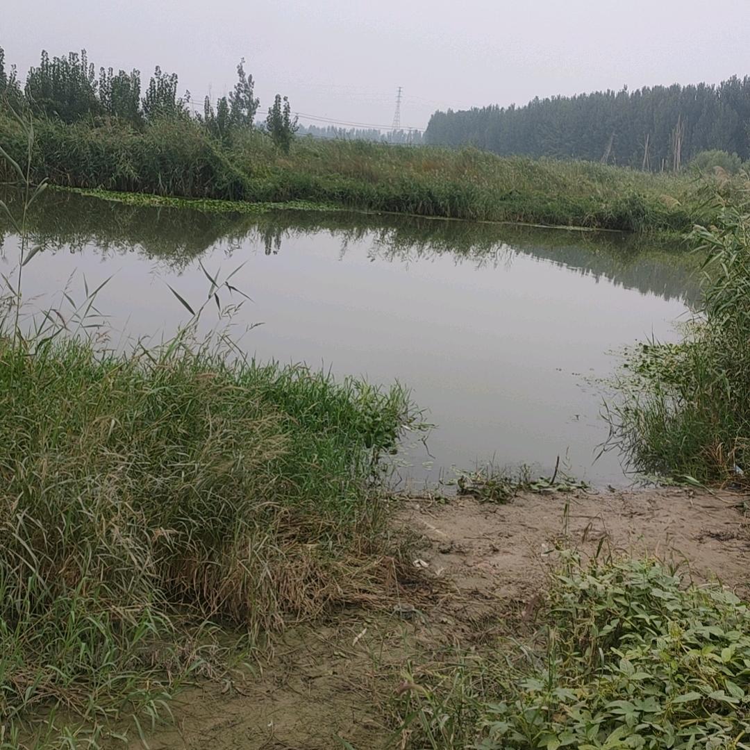 林中小路