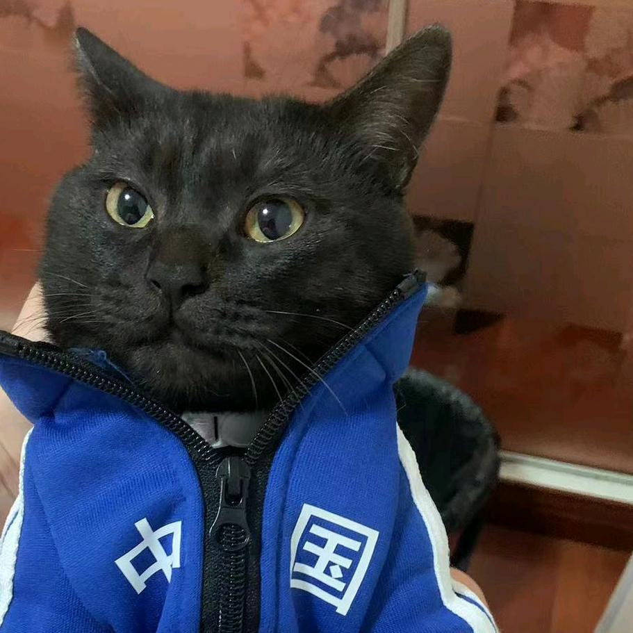叫我二姐