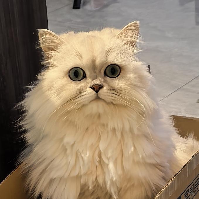 泉鑫叶优选冰箱贴