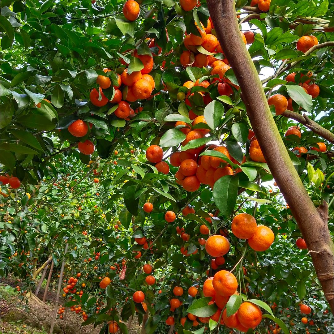 ╭(余生╯不ε将╰就)╮