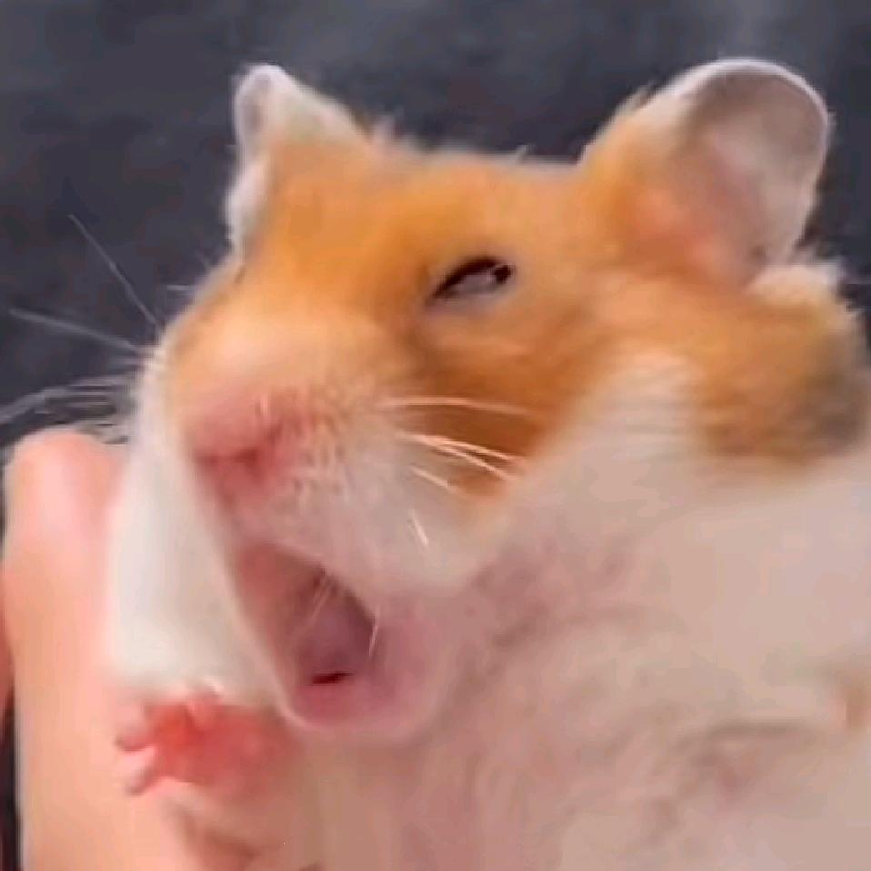 你总一个人