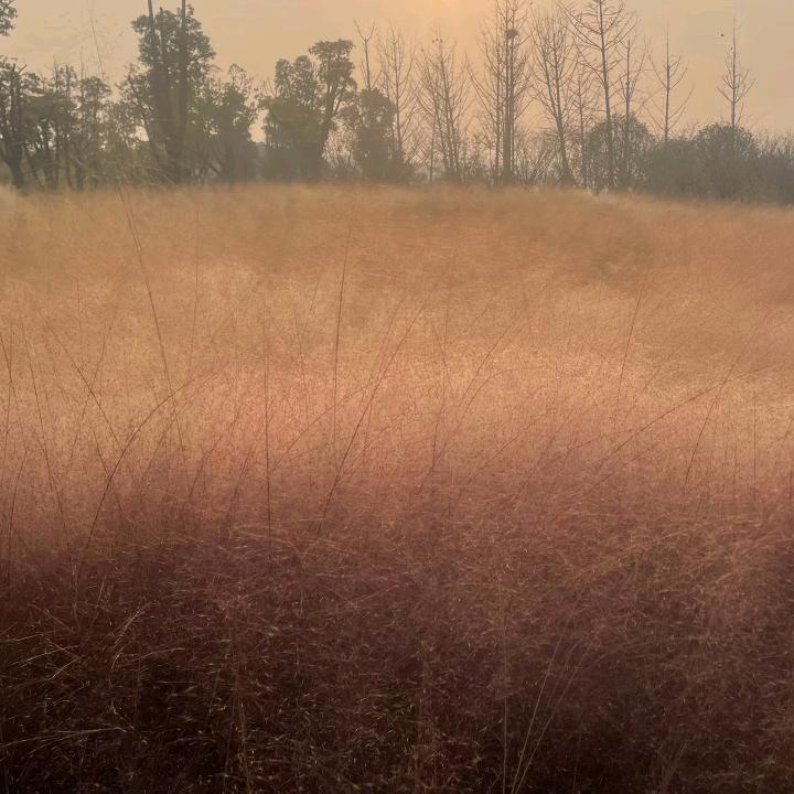 聊聊成长那些事