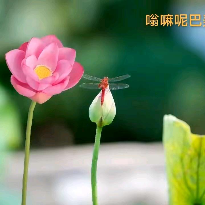 岁月静好