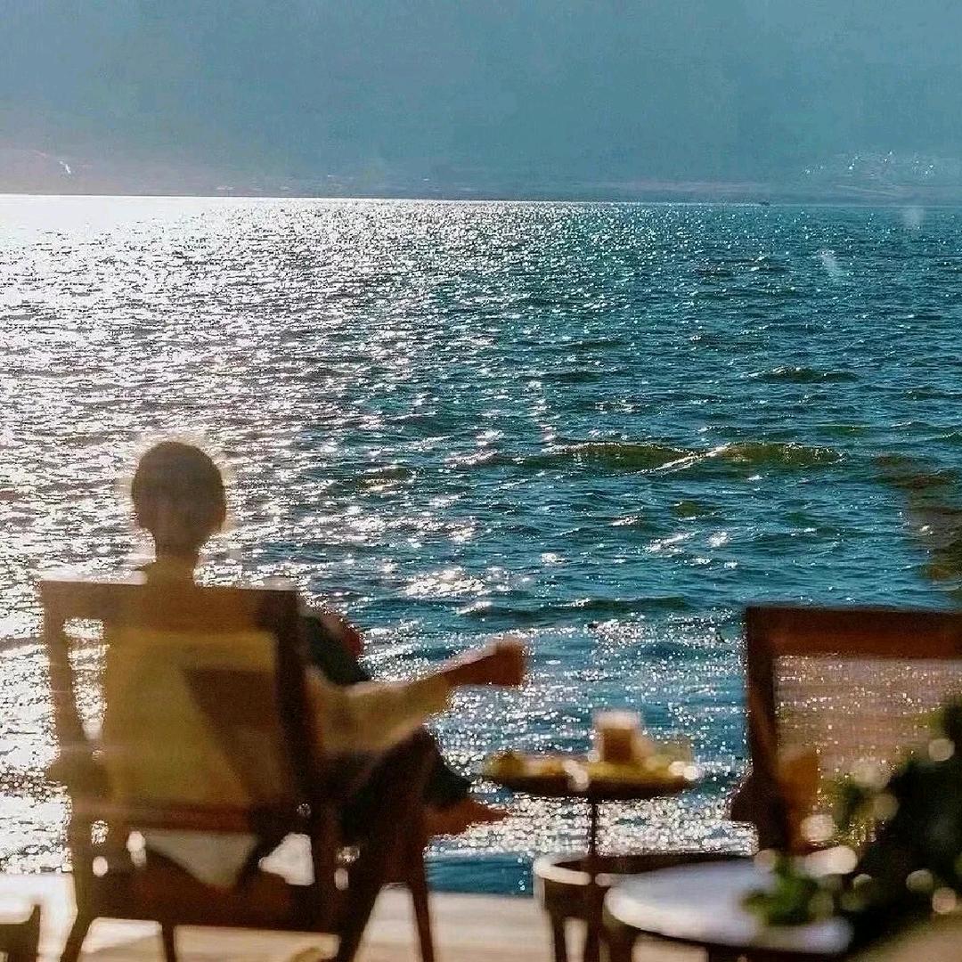 海星海星