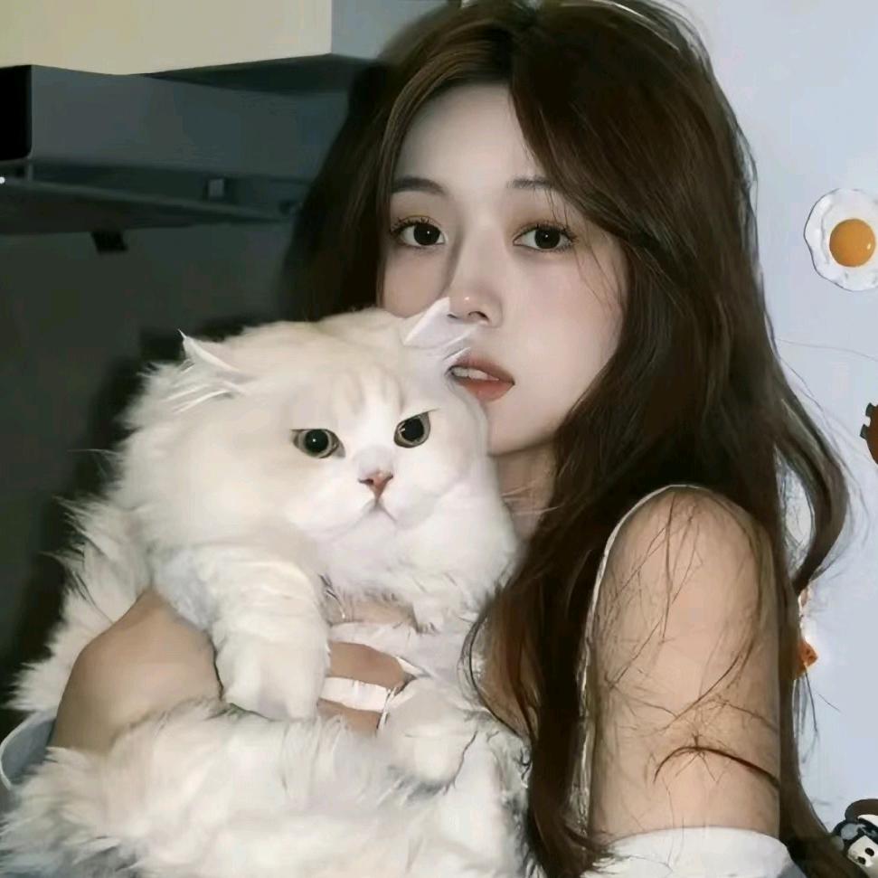 肉肉🐱