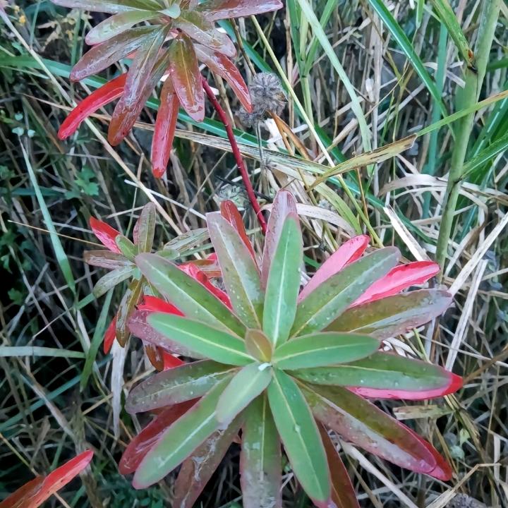 越来越好