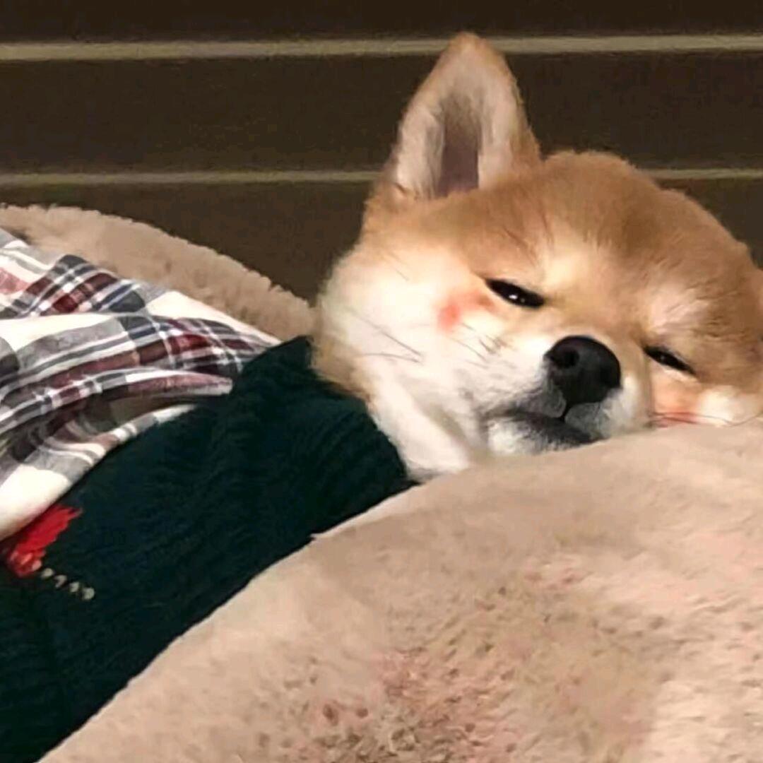 遇见最好的自己