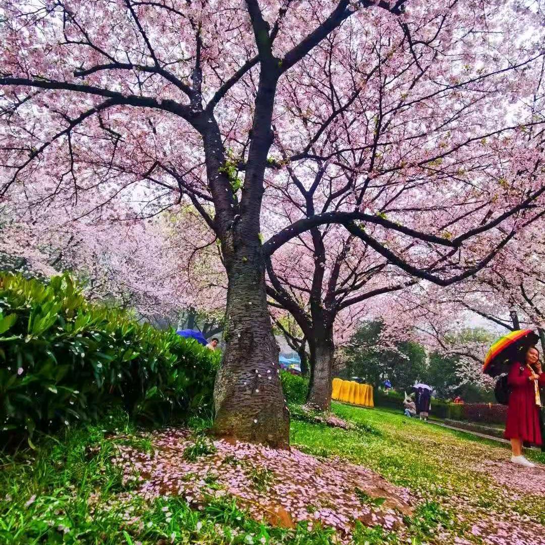 人生百味，顶着一分的甜，去冲淡九分的苦😀