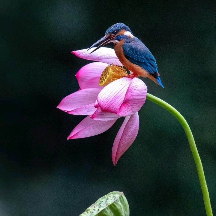 岁月静好