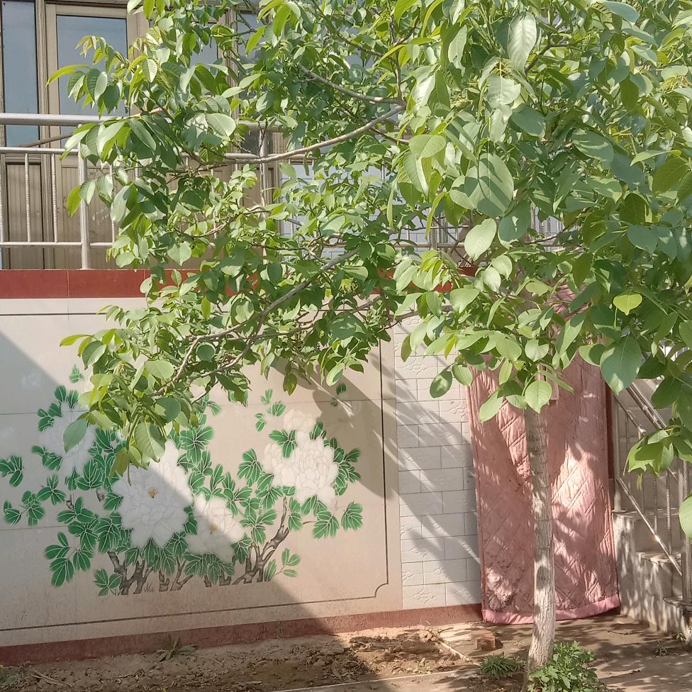 余生之为家,