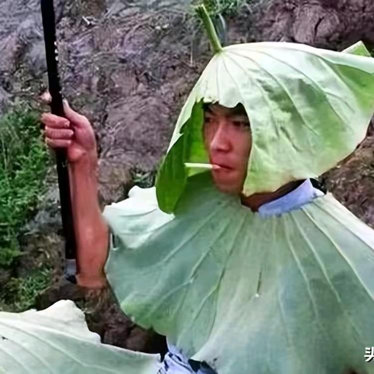 (っ'-')╮余生╮做个俗人