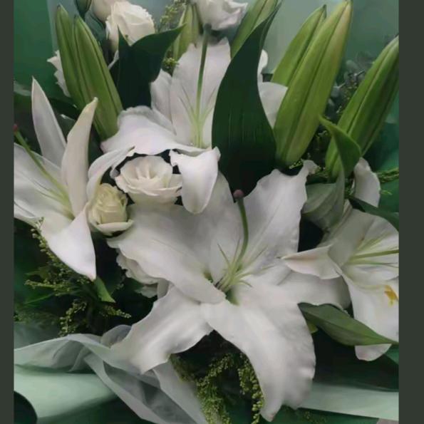 🌹从零开始❤ (ɔˆз(ˆ⌣ˆc)