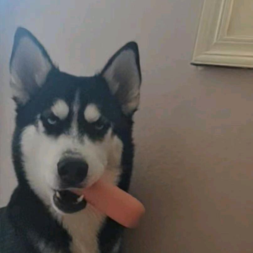 粘豆包