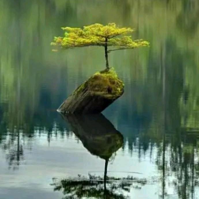 🎋🈵眼都是你🎋