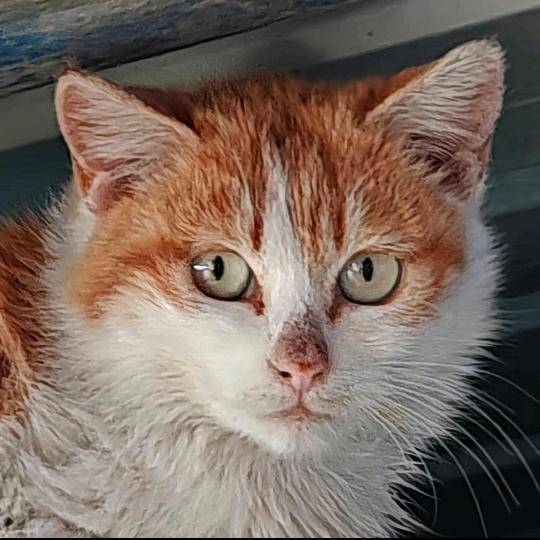 🇨🇳贺不会航拍🇨🇳