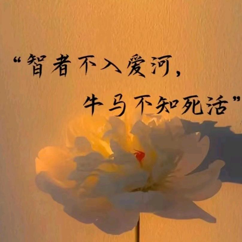 🌈.凉风有信秋月吴边