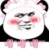 小菊发🧸