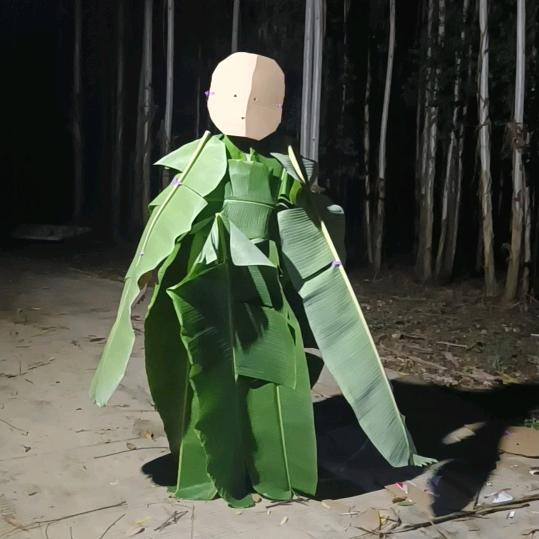 蕉叶影帝