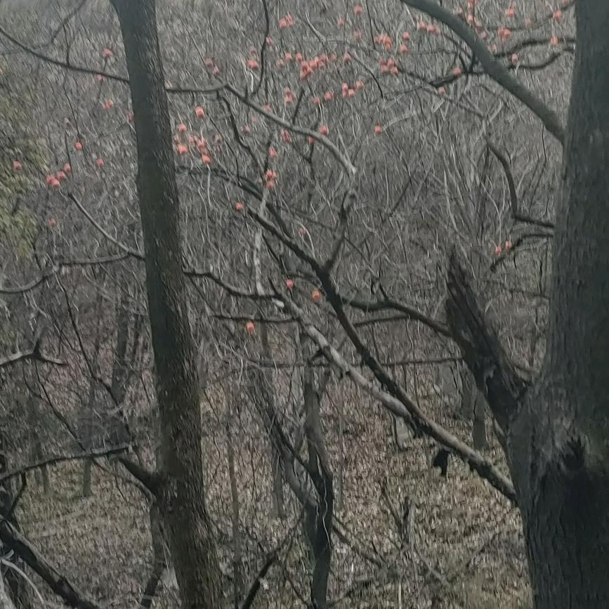 无悔人生(❁´◡`❁)*✲ﾟ*