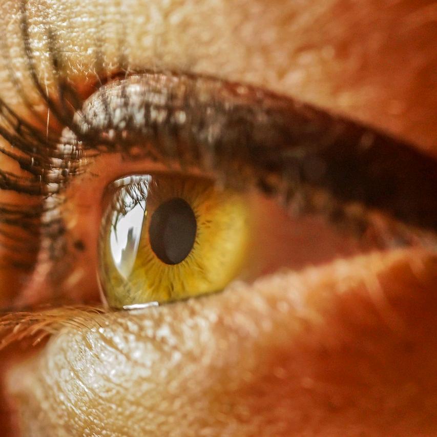 睛明老师助护眼