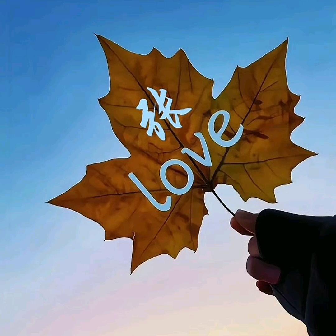 @小张（减肥中）