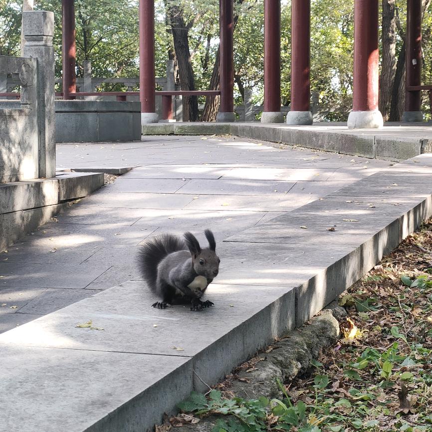 李老师ƪ(˘⌣˘)ʃ