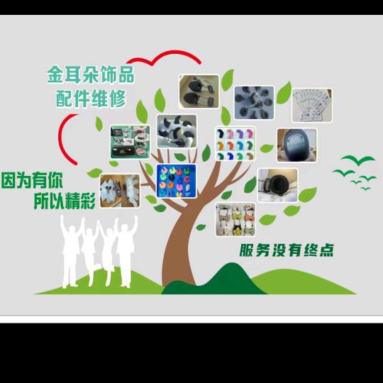 姬二妮《金耳朵耳蜗用品》配件维修