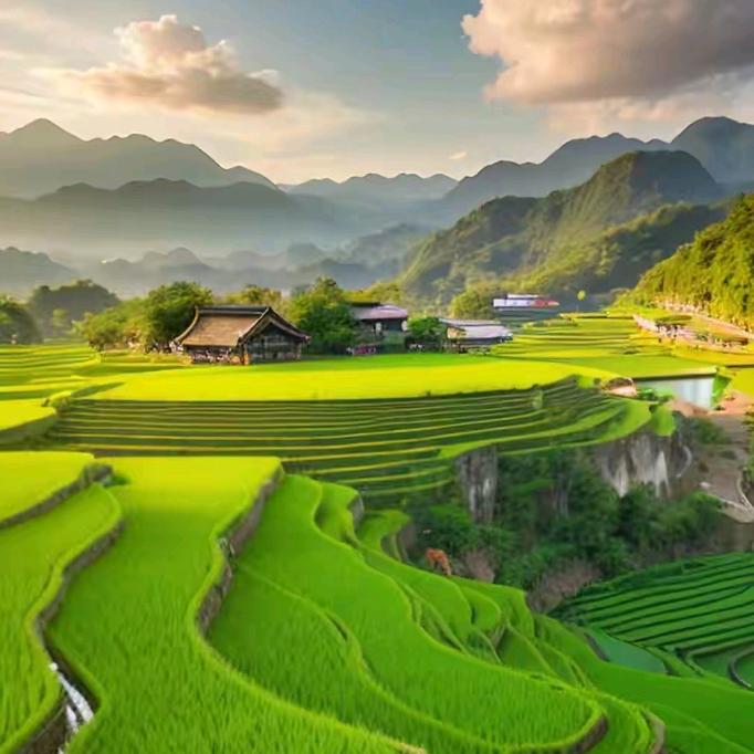 清凉一夏