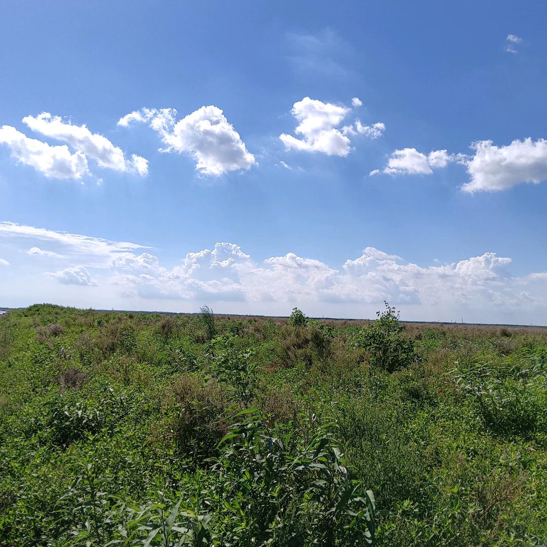 鲢队长（熊哥水产）