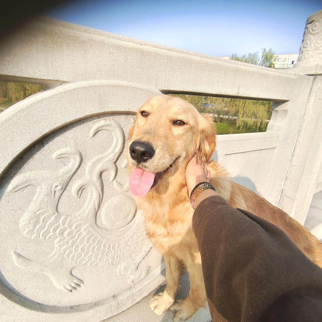 （马）上有钱😎