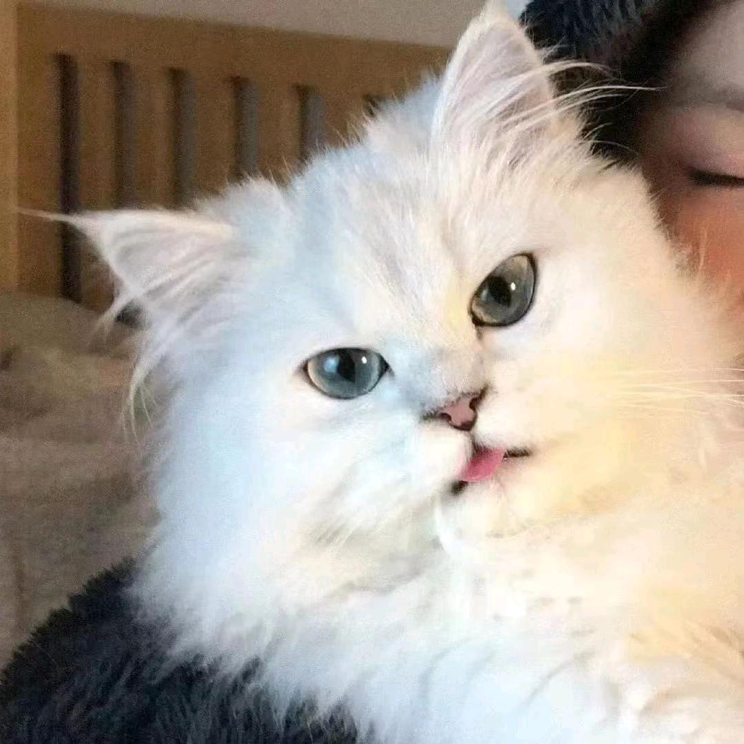 动情