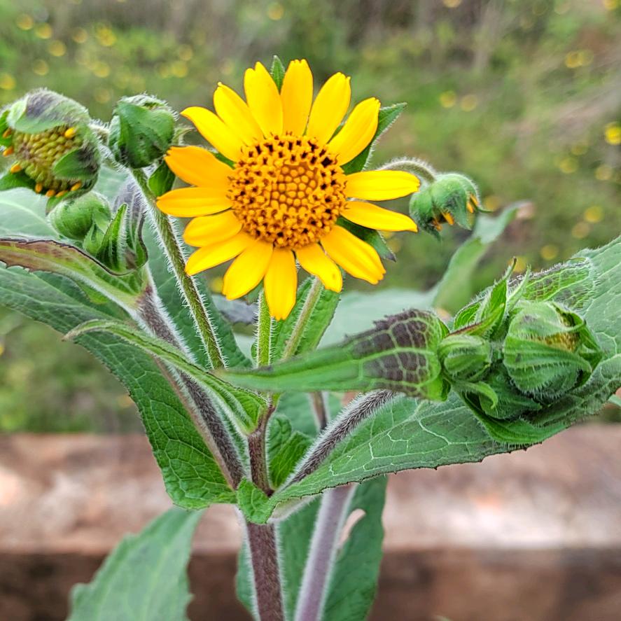 🌾🥀曲终🍀人散🥀🍃