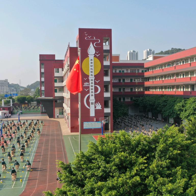 宁宁老师教语文