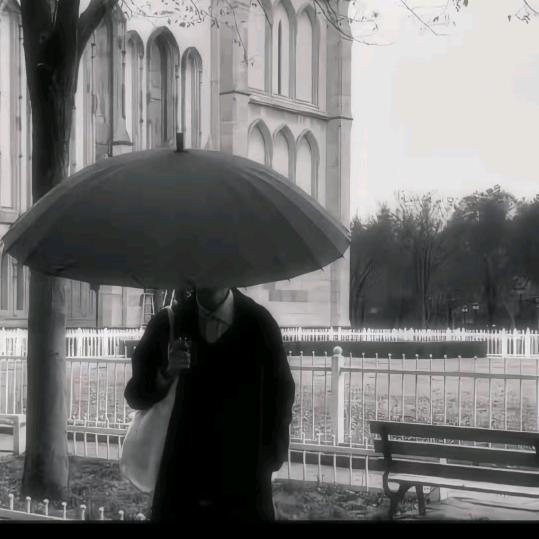商业街数钱的阿雨