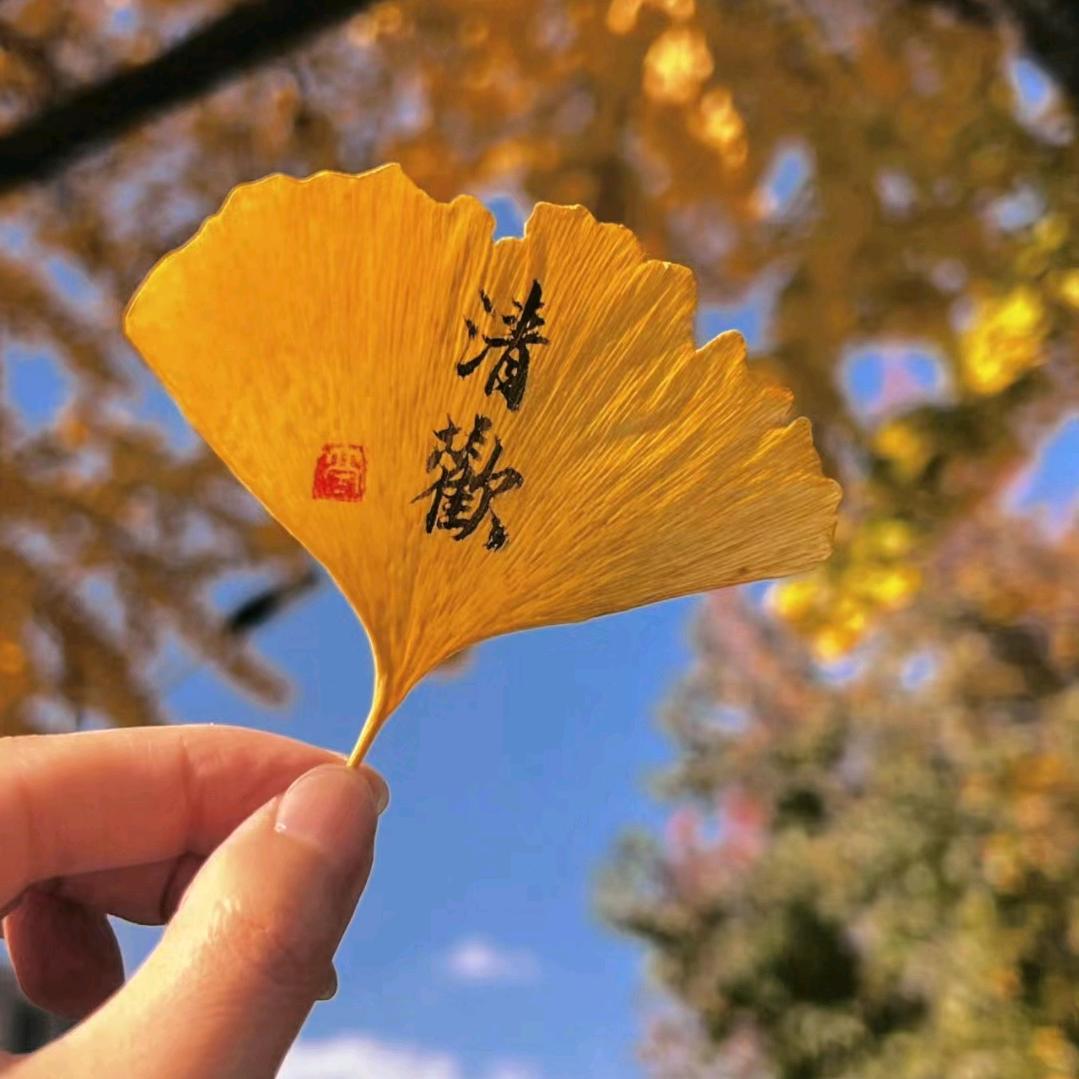 湘-.-湘