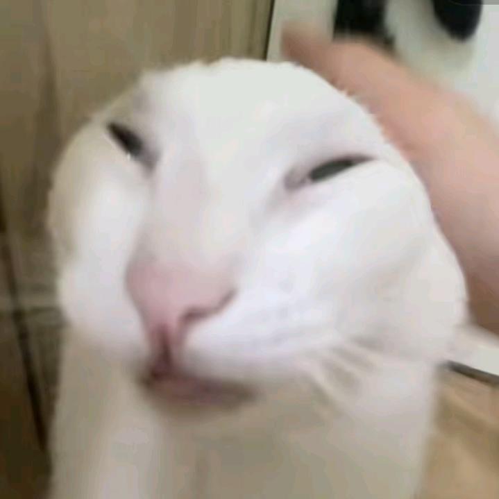 星良嗷🧐