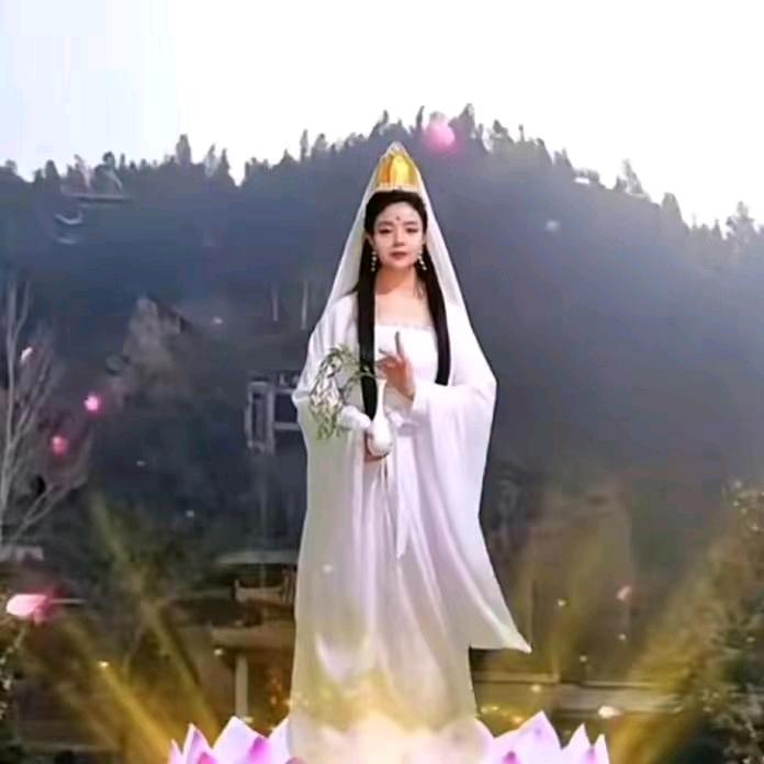 奋斗的馒头姐