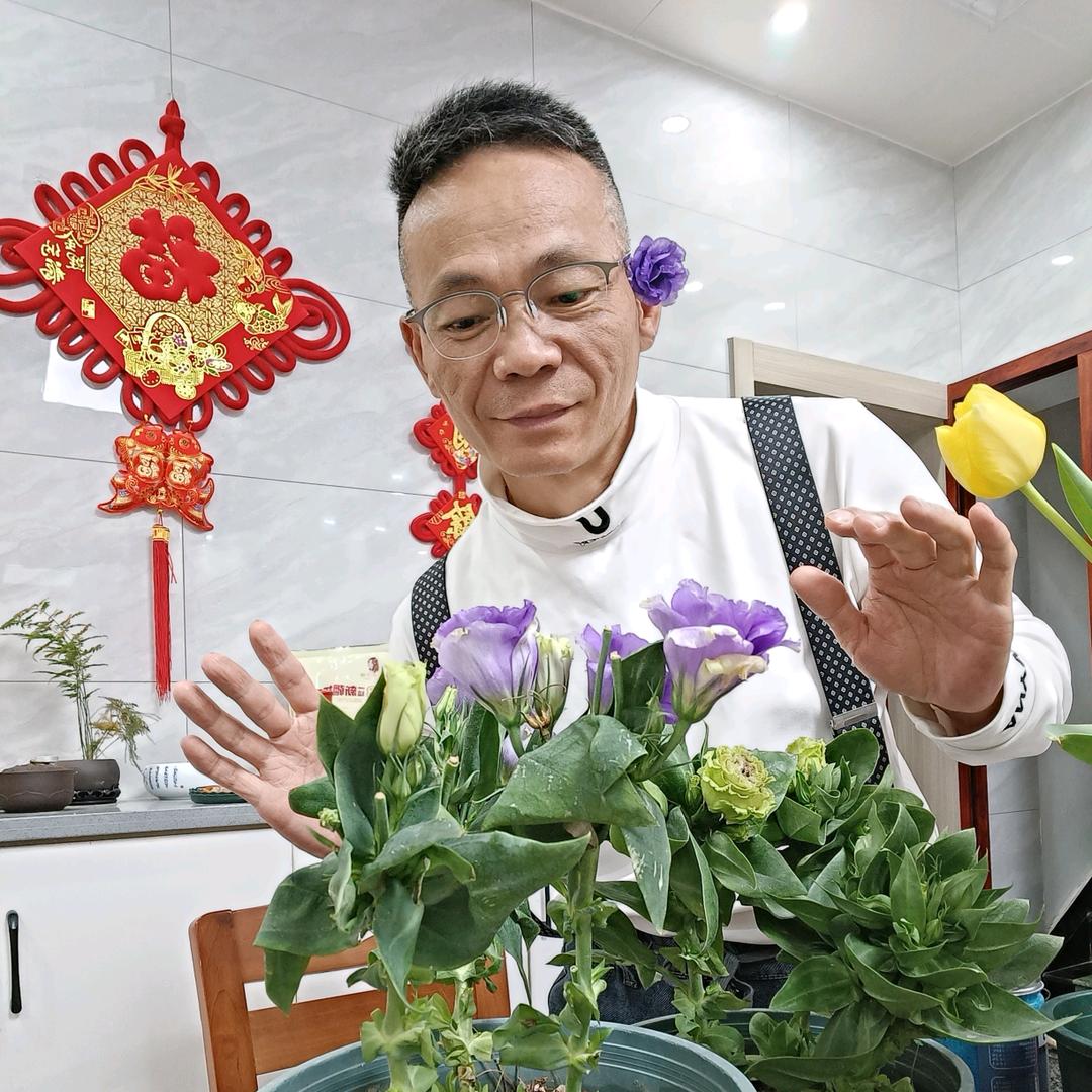胡哥爱养花