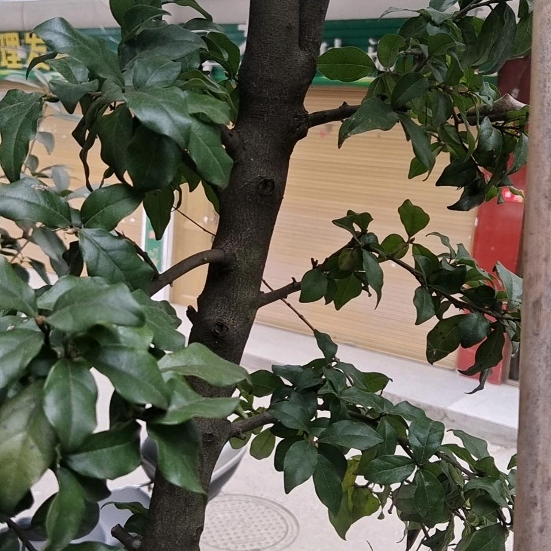 一生朋友永不变