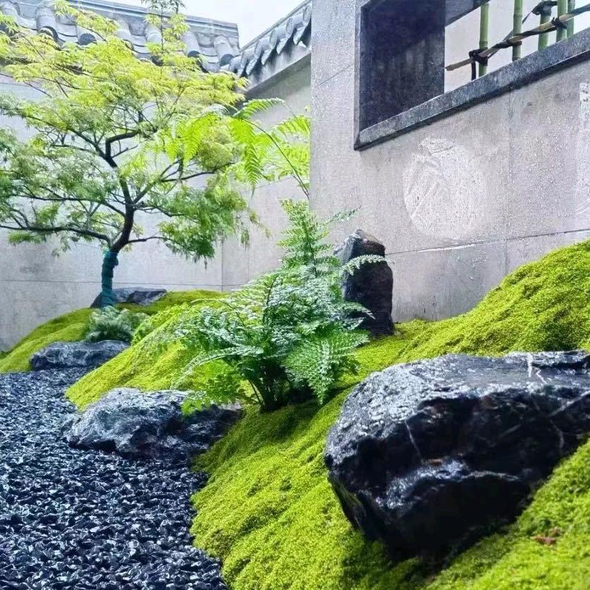 庭院设计施工