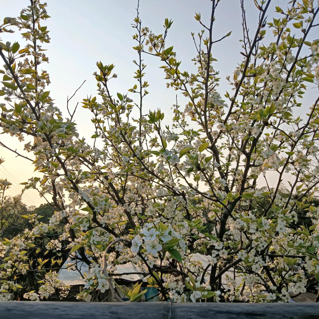别回头，往前走